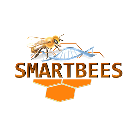 SMART BEES – Web Demo